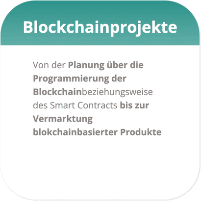 Daubit Programmierung Service GmbH 2